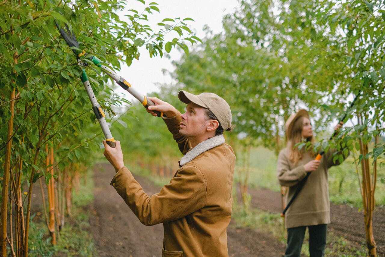 Best Local Tree Services  in Fabrica, TX